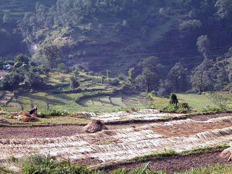 Gmvn Guest House Rudraprayag Kurchhola 外观 照片